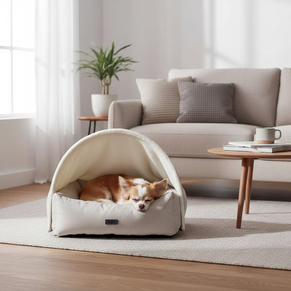 Kleiner Hund schläft gemütlich in ovalem Komfortbett "ILANA" mit Höhle in modernem Wohnzimmer.