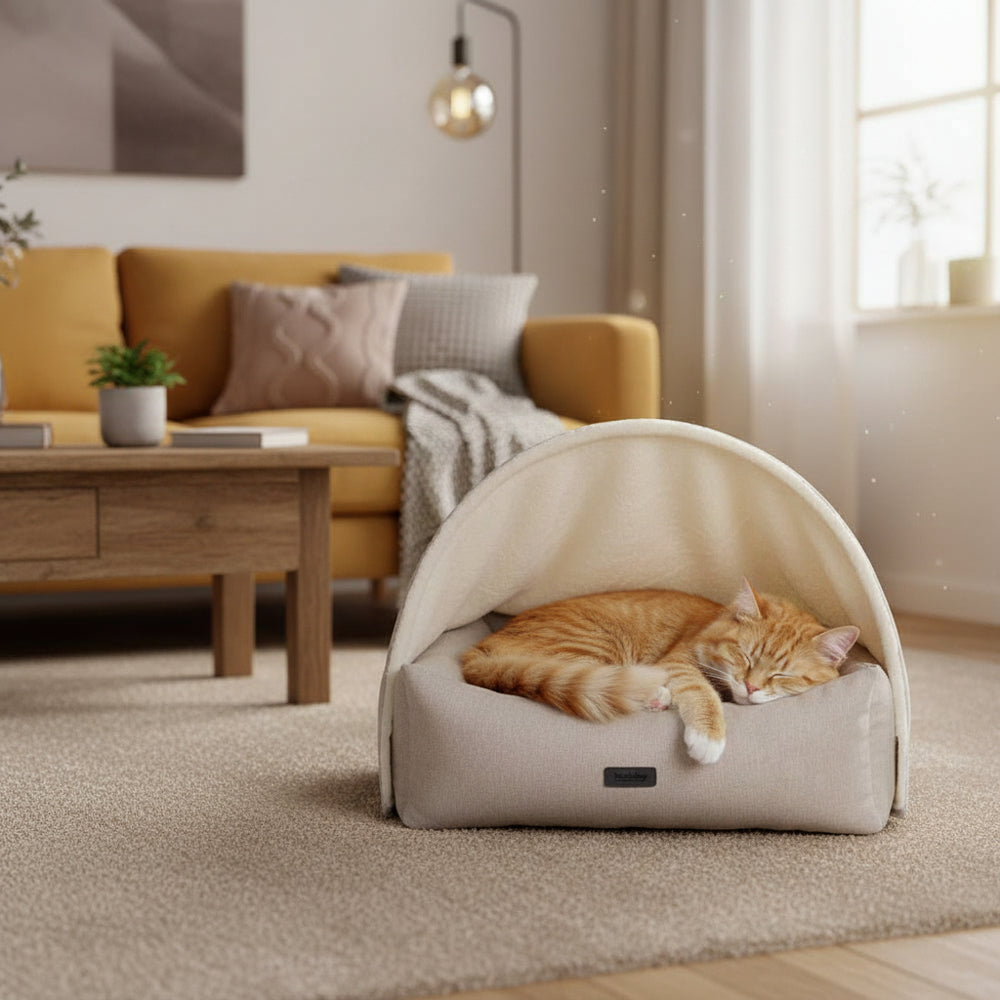 Gemütliche Katze entspannt in komfortablem Höhlenbett "ILANA" in modernem Wohnzimmer mit gelbem Sofa und stilvollem Beistelltisch.