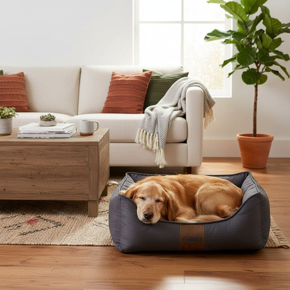 Komfortbett "ZALO" für Hunde: Ein golden retriever entspannt in einem grauen Hundebett in einem stilvollen Wohnraum.