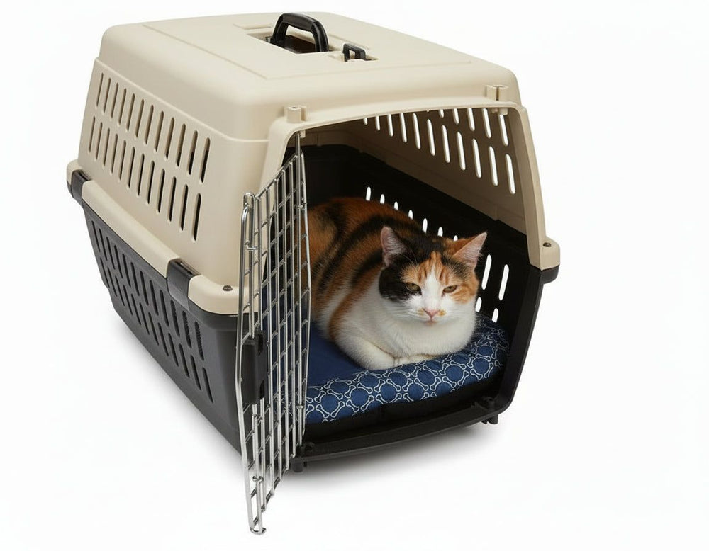 Beige und schwarze Transportbox für Katzen aus Kunststoff mit Belüftung und metallener Tür, darin eine entspannte Katze.