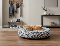 Gemütliche Innenszenerie mit schlafendem orangefarbenen Kater auf Katzenbett, einfach und modern dekoriert.