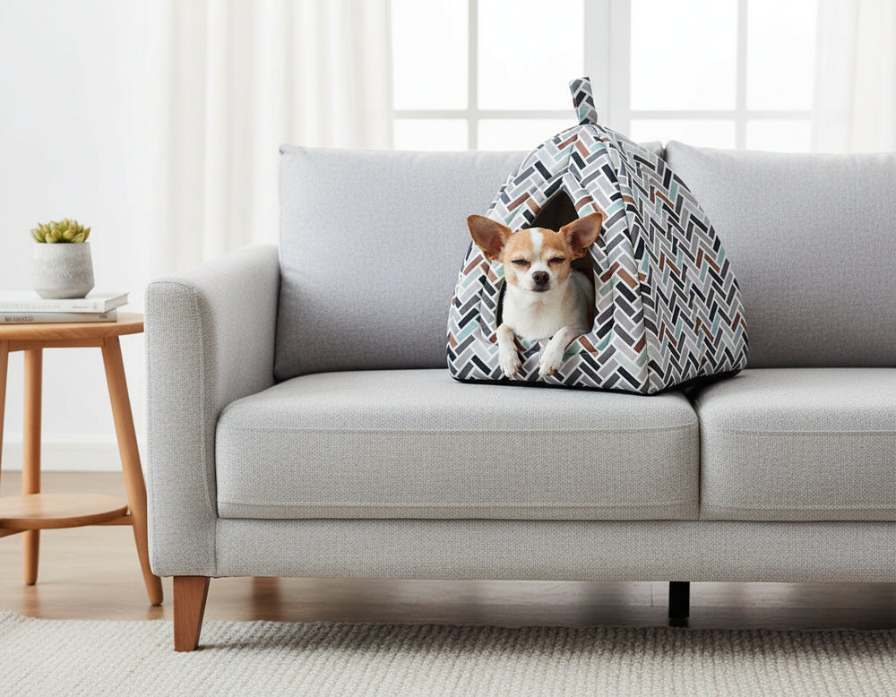 Gemütliche Hundehütte in Zeltform auf einem grauen Sofa, kleiner Hund schaut neugierig hinaus, im Hintergrund ein Pflanze.