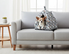 Gemütliche Hundehütte in Zeltform auf einem grauen Sofa, kleiner Hund schaut neugierig hinaus, im Hintergrund ein Pflanze.