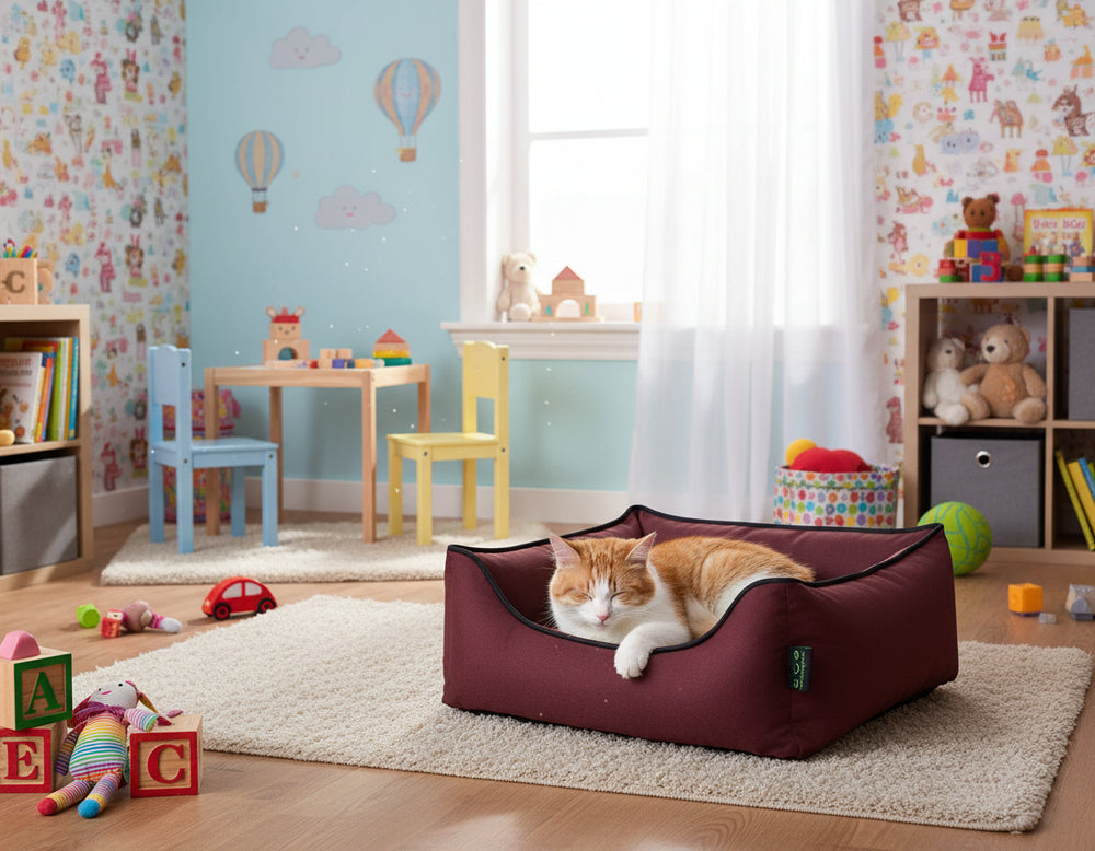 Gemütliche Wohnung mit orangefarbenem Kater im burgunderroten Katzenbett vor bunten, kindgerechten Wänden.
