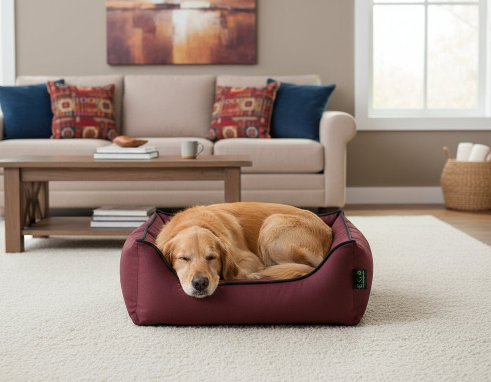 Brauner Hund schläft im roten Komfortbett "Esat" in einem gemütlichen Wohnzimmer mit Sofa und Kissen.