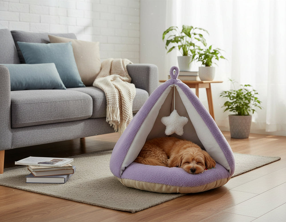 "Komfortzelt oval Puppy: Ein kleiner Hund schläft in einem lila-beigen Hundebett vor einem grauen Sofa und einer Pflanze."