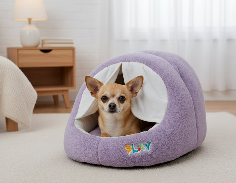 Kleiner Hund sitzt in lila Hundebett mit kuppeliger Form und dem Wort "PLAY" auf der Vorderseite. Heller, moderner Hintergrund.