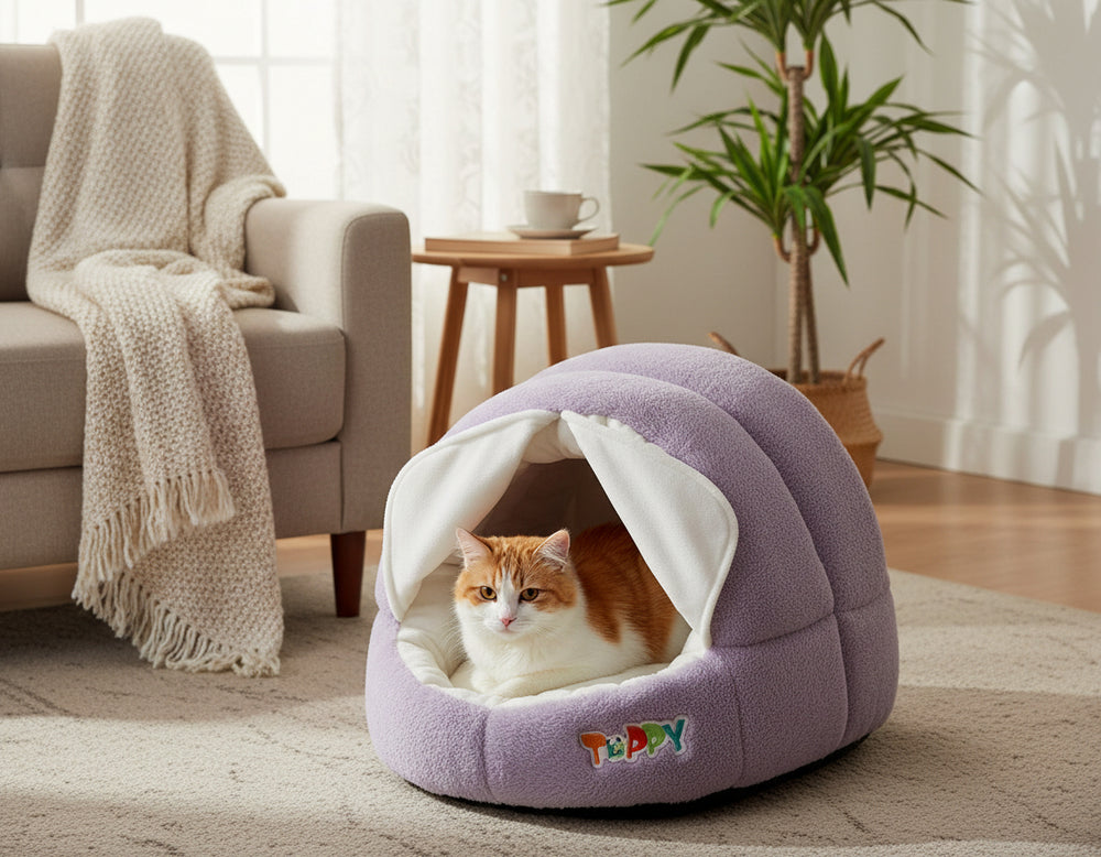 Gemütliche, lila Katzenhöhle mit orange-weißer Katze im hellen Wohnzimmer mit Sofa und Kaffeetisch.