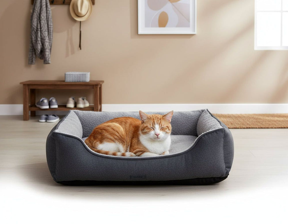 Katze entspannt auf grau-schwarzem Komfortbett Vara in hellem, schlichtem Raum mit natürlichem Licht.