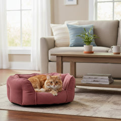 Gemütliches ovales Katzenbett Salia mit orangefarbener Katze in modernen Wohnraum, umgeben von Möbeln und Pflanzen.