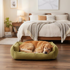 Schlafender Hund im grünen Komfortbett KIREK, umgeben von einem gemütlichen Schlafzimmer mit Pflanzen und Dekoration.