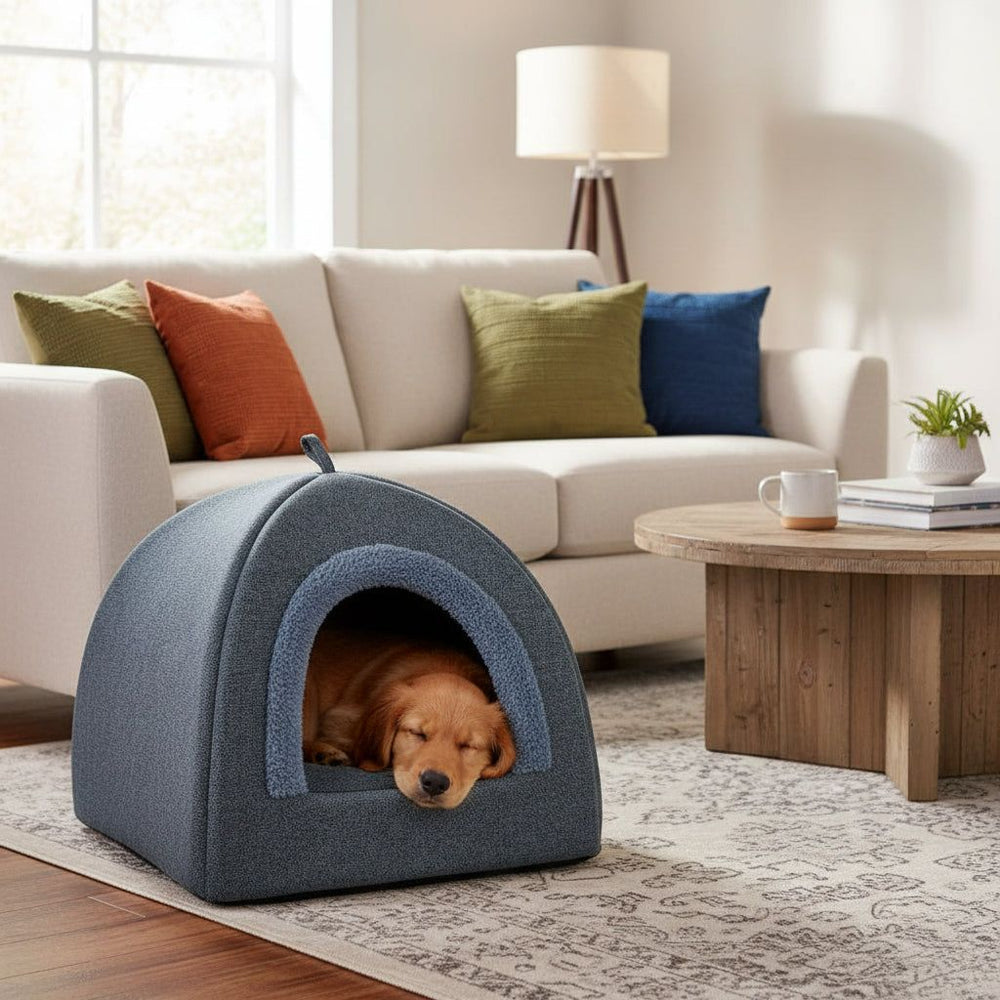 „Hund schläft entspannt in grauem Hundechalet mit blauem Eingang, im Hintergrund ein helles Sofa.“