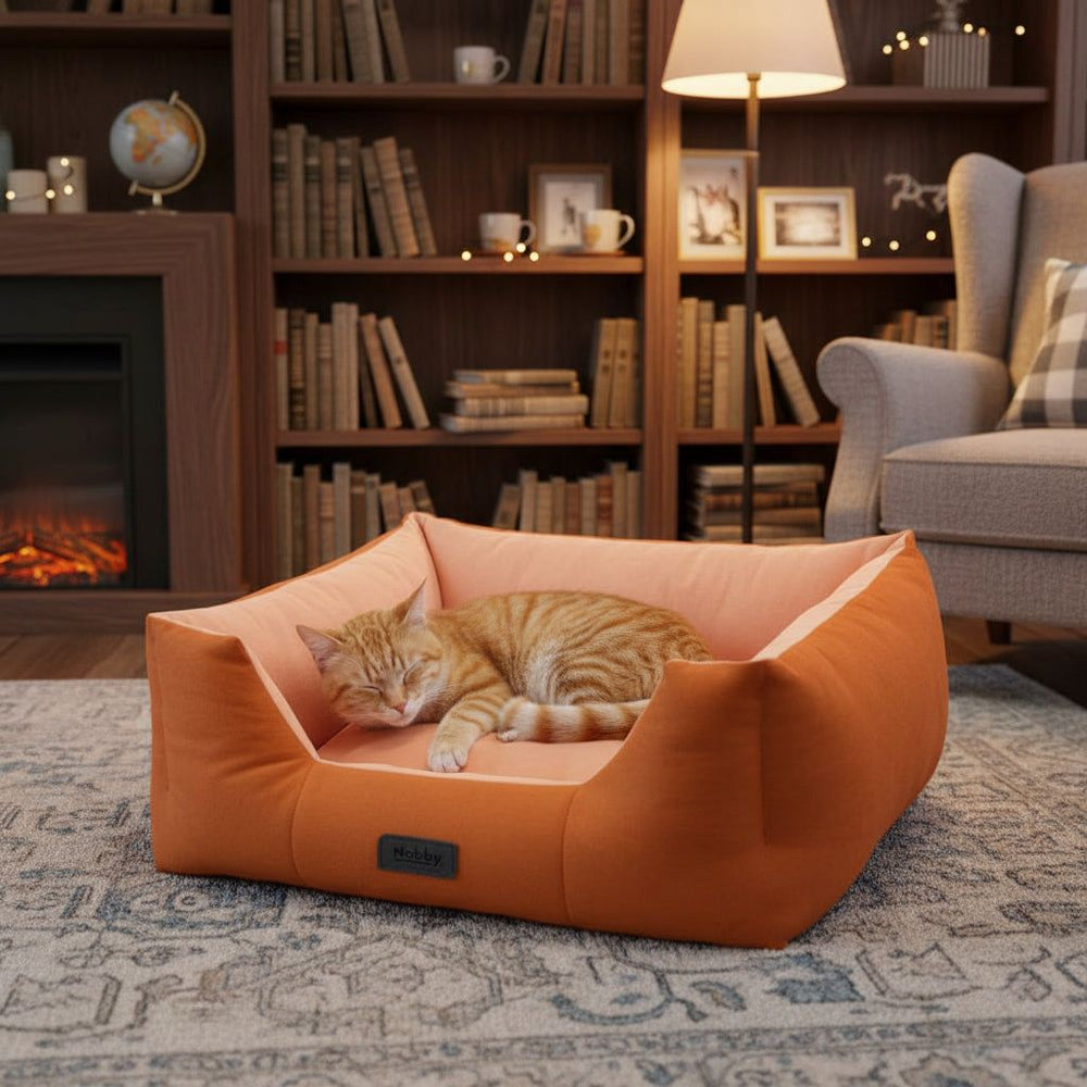 Gemütliches orangefarbenes Katzenbett mit einer schläfrigen Katze, Bücherregal und Kamin im Hintergrund schaffen eine einladende Atmosphäre.