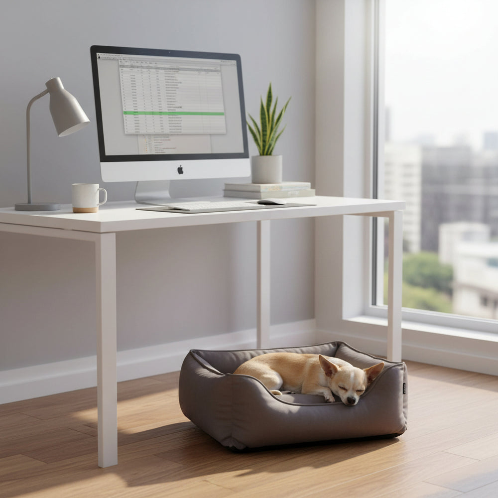 Komfortbett Enock in modernem Raum mit iMac und schlafendem Hund im grauen Bett neben dem Schreibtisch.