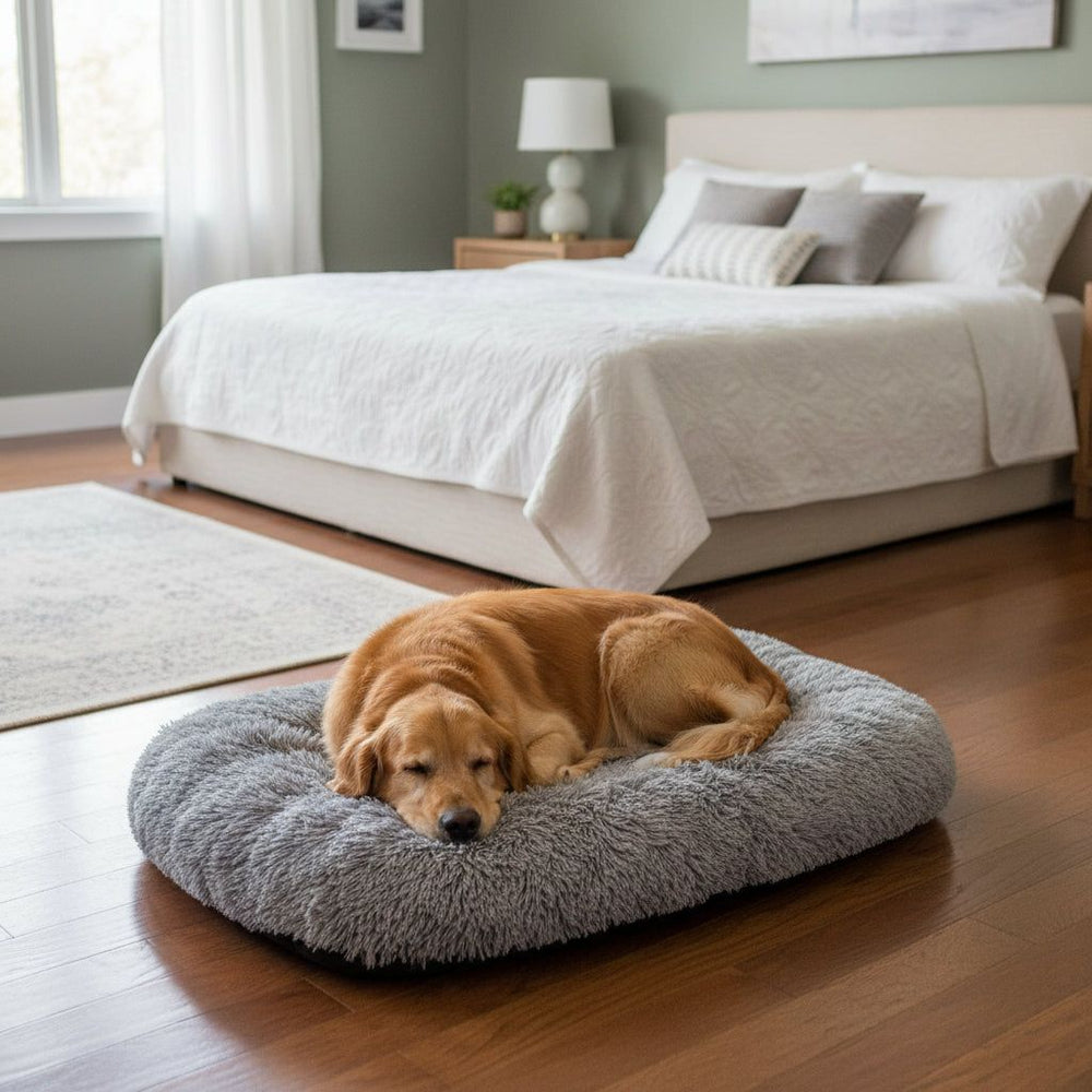 "Ein Hund entspannt auf der grauen Komfortmatte Kabarik in einem hellen Schlafzimmer mit Tageslicht."