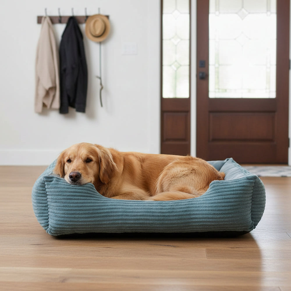 Golden Retriever entspannt in blauem Komfortbett Hina, umgeben von hellen Holzdetails und einer Eingangstür.