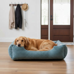 Golden Retriever entspannt in blauem Komfortbett Hina, umgeben von hellen Holzdetails und einer Eingangstür.