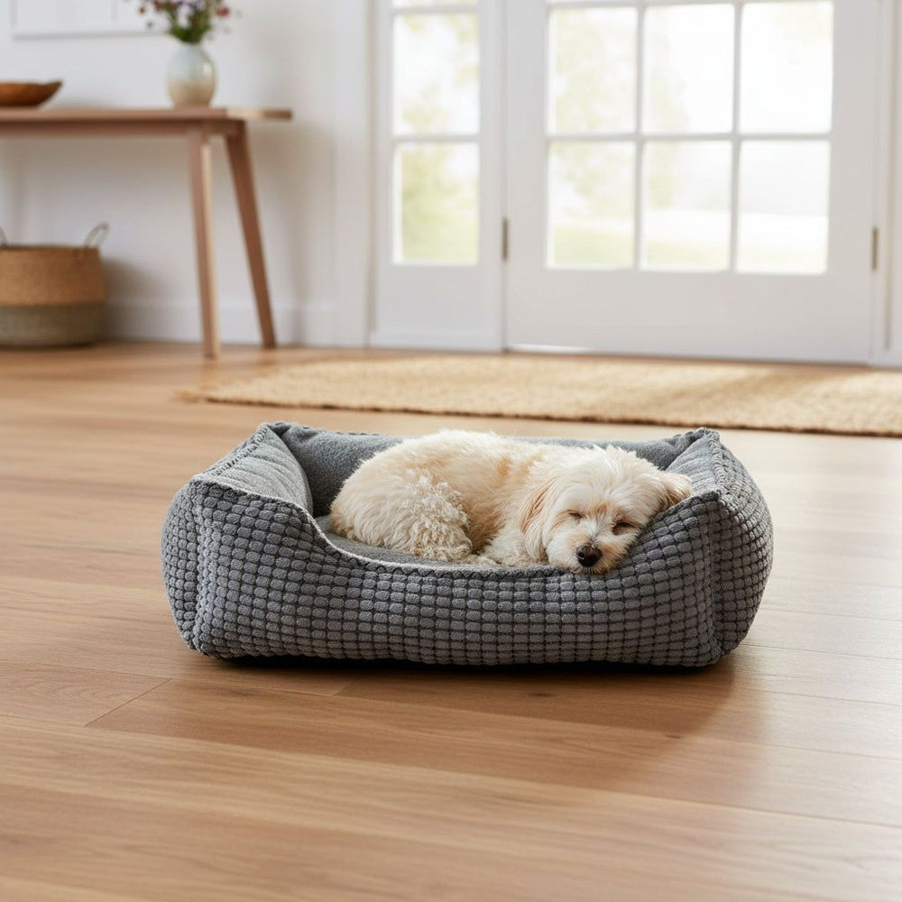 Kleiner weißer Hund schläft gemütlich in grauem Komfortbett Garik in einem hellen Raum mit Holzfußboden.