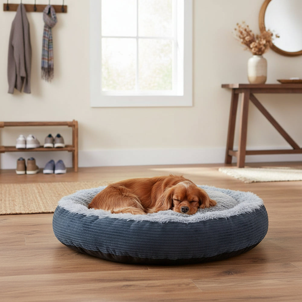 "Schlafender Hund auf rundem Komfortbett Donut Seda in gemütlicher, holzverkleideter Umgebung."
