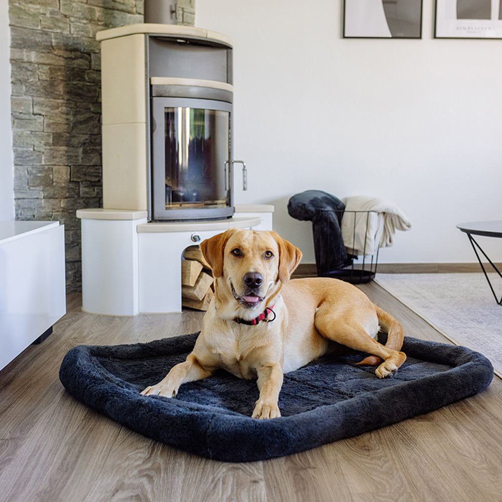 Ein Labrador entspannt auf einem dunklen Hundebett in einem modernen Raum mit Kamin und hölzernem Boden.