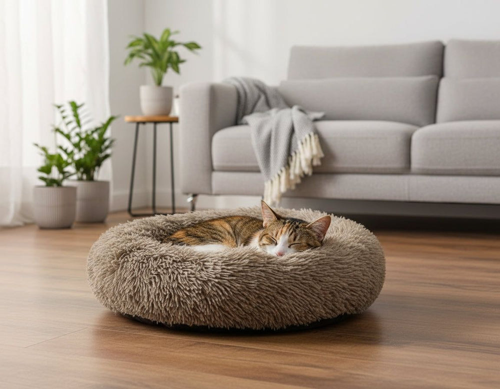 Gemütliches rundes Katzenbett "ESLA" mit einer schlafenden Katze in modernem Wohnzimmer. Flauschiges Material und stilvolle Einrichtung.