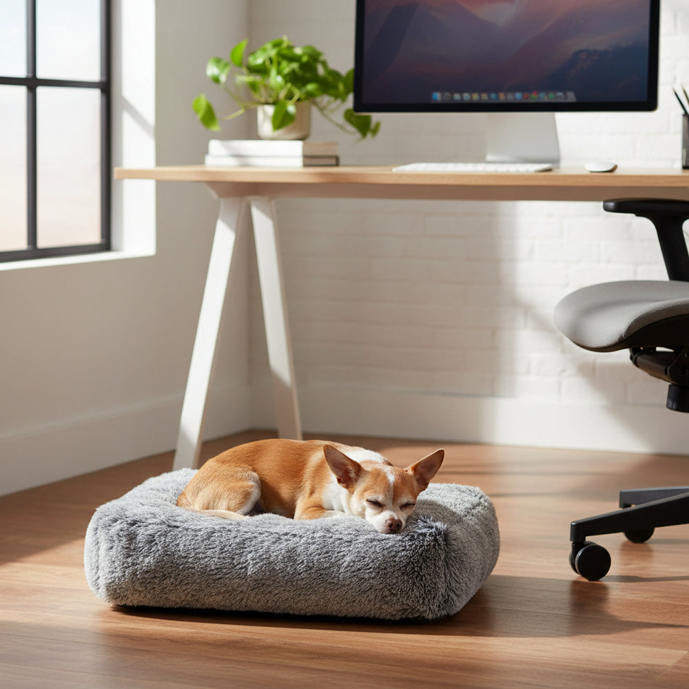"Chihuahua schläft gemütlich im grauen Hundekorb Ares auf Holzfußboden in modernem Raum mit Schreibtisch und Pflanzen."