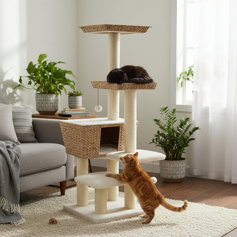 Moderner Kratzbaum MOTEGA mit mehreren Ebenen, schwarzer Katze oben und orangefarbener Katze unten. Ideal für Katzen.