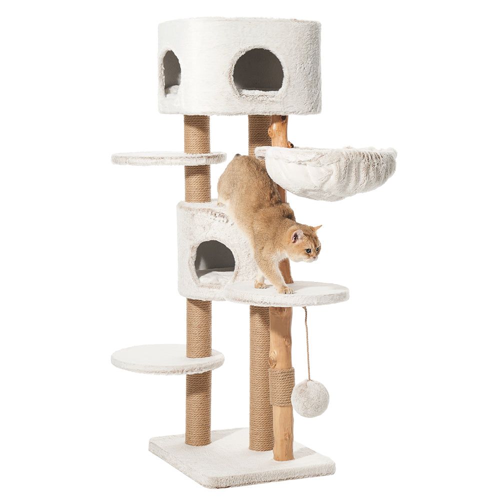 Moderner Kratzbaum LOYA für Katzen mit mehreren Ebenen, weicher Oberfläche und Spielkugel im hellen Design.