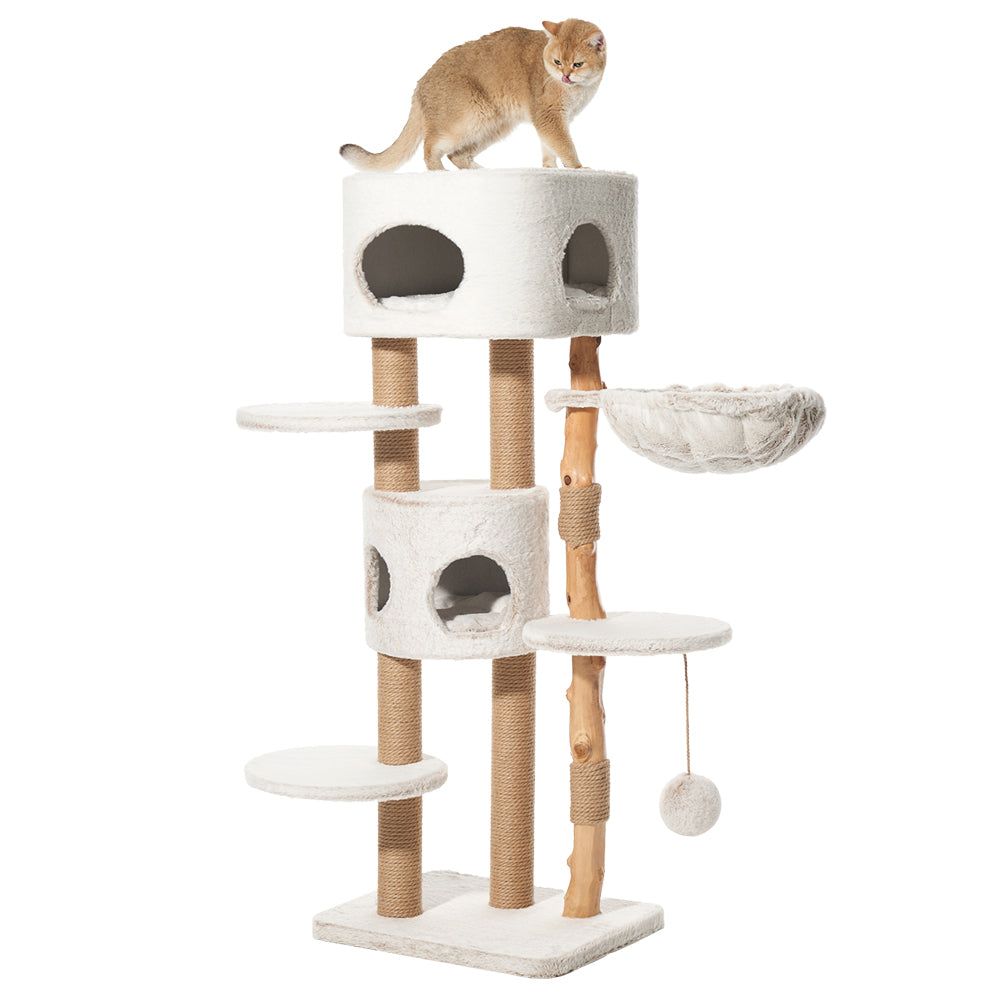 Kratzbaum LOYA in hellen Farben mit mehreren Ebenen, Höhle, Plattformen und Hängematte. Katze auf der obersten Ebene.