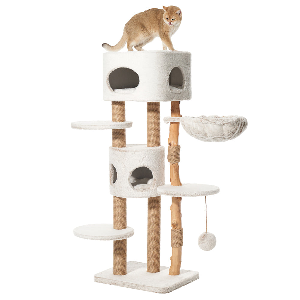 Kratzbaum LOYA in hellen Farben mit mehreren Ebenen, Höhle, Plattformen und Hängematte. Katze auf der obersten Ebene.