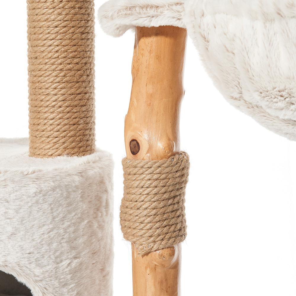 "Kratzbaum LOYA mit Sisal-ummanteltem Mast und weicher Plattform für Katzen - ideal zum Kratzen und Entspannen."