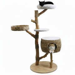 Moderner Kratzbaum ARBO aus Holz mit Plattformen und Höhlen, auf dem eine schwarze Katze entspannt.