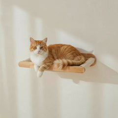 Entspannte orange-weiße Katze auf einem Holzregal mit samtiger Liegefläche vor heller Wand und Fenster.