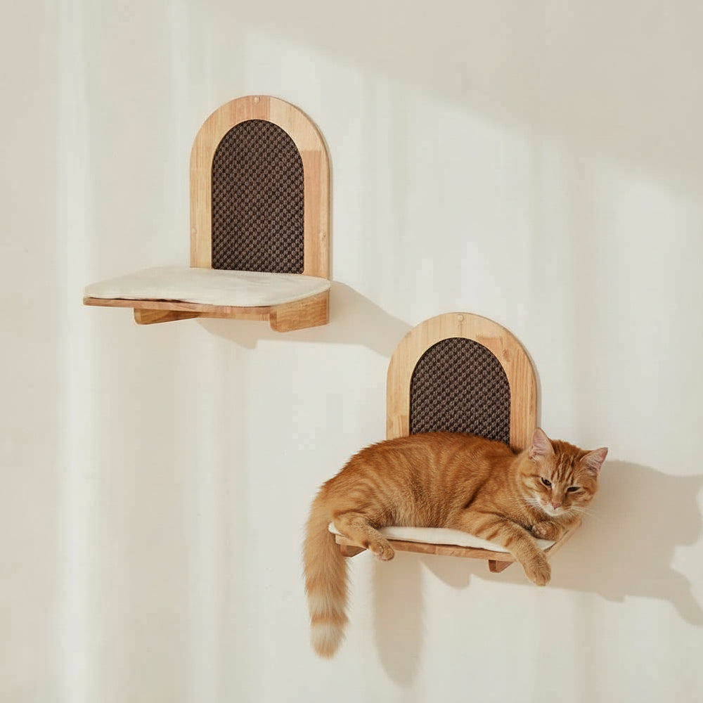 Bogenförmige Holzregale mit Kissen und Ablagefläche, darunter liegt eine orangefarbene Katze.