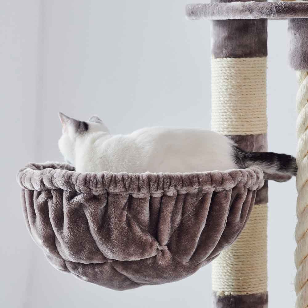 Weißes Kätzchen ruht in grauem Katzenbett eines Kratzbaums mit Sisal, ideal für entspanntes Spielen und Schlafen.