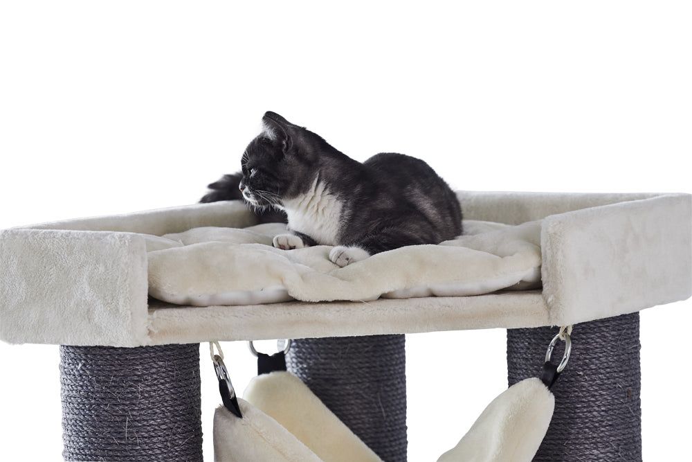 Katzenturm CHILO mit gepolsterter Liegefläche und Sisalsäulen, entspannte Katze auf der beigen Fläche.