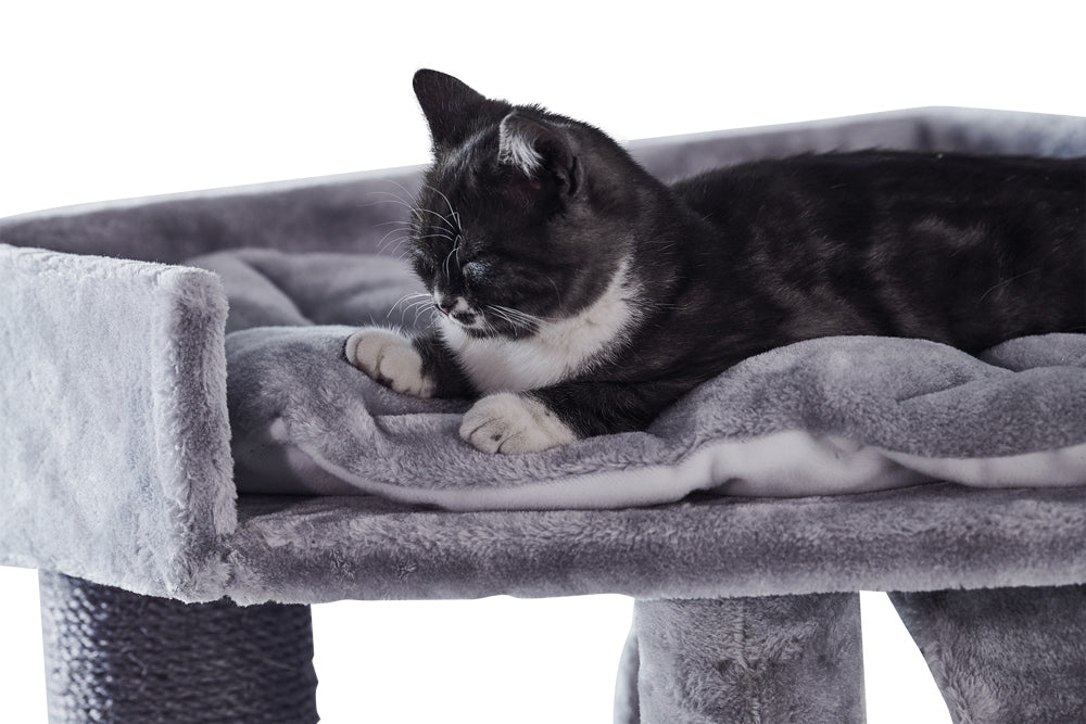 Graue Katzentruhe ADILE mit gepolstertem Plateau, darauf liegt eine entspannte schwarz-weiße Katze.