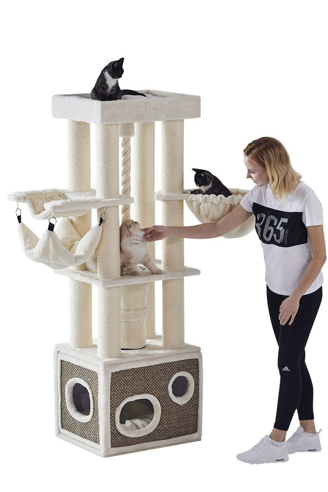Mehrstöckiger Kratzbaum LILIAN mit drei Katzen in hellen Farben und einer Person, die eine Katze pflegt.
