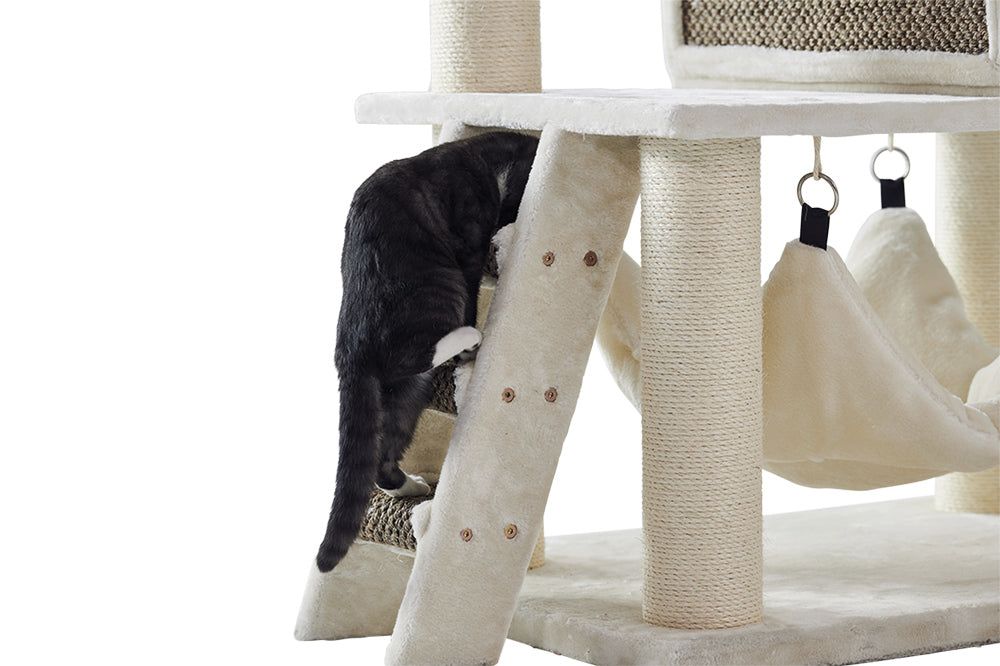 "Katzenkratzbaum JUAN in hellen Farben mit Sisal-Elementen, während eine Katze die Treppe hinaufsteigt."