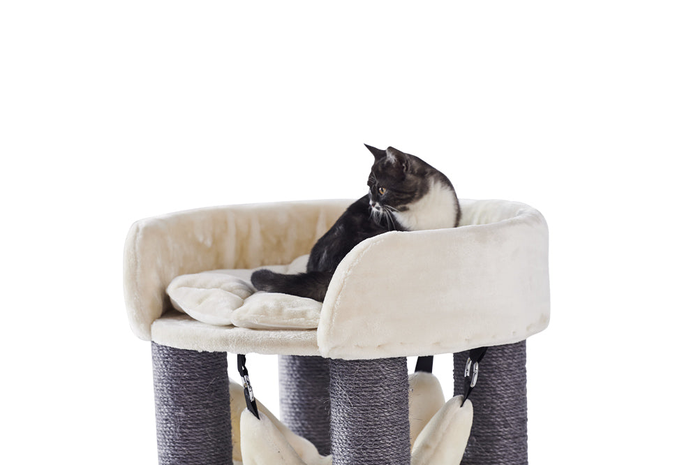 "Katzenbaum ELA mit runder, beiger Liegefläche und grauen, geflochtenen Säulen, darauf sitzt eine schwarze Katze."