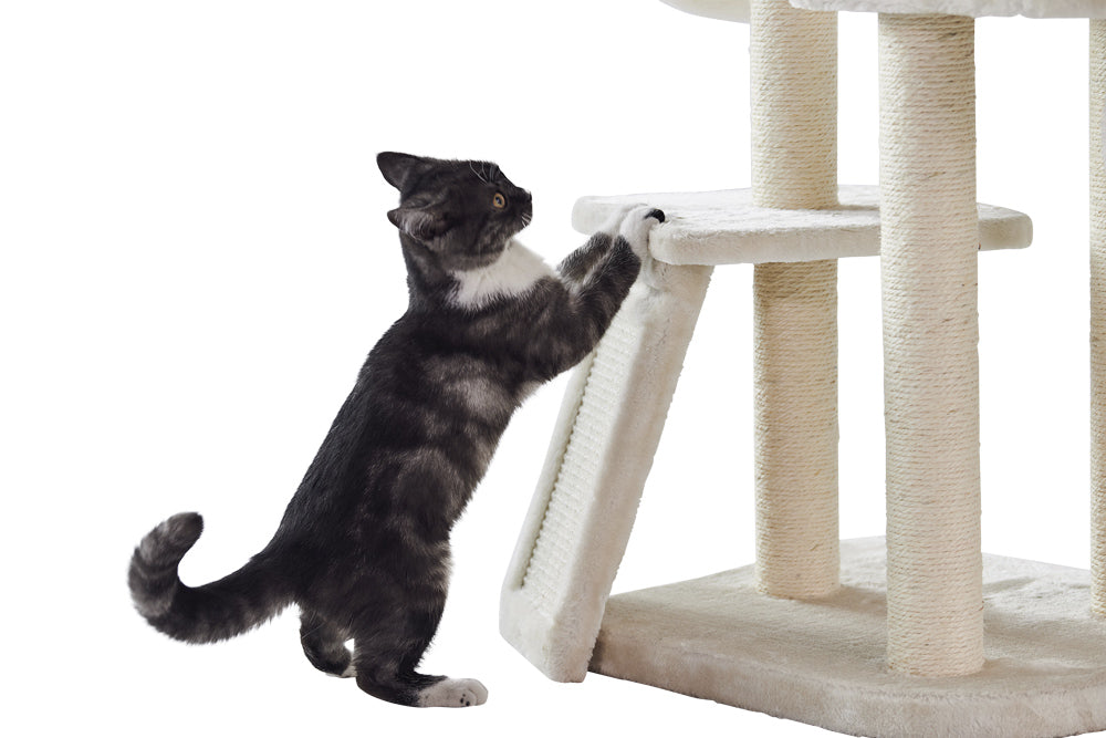 Graue Katze spielt am Kratzbaum Classic DILAN mit mehreren Ebenen und weicher, heller Oberfläche.