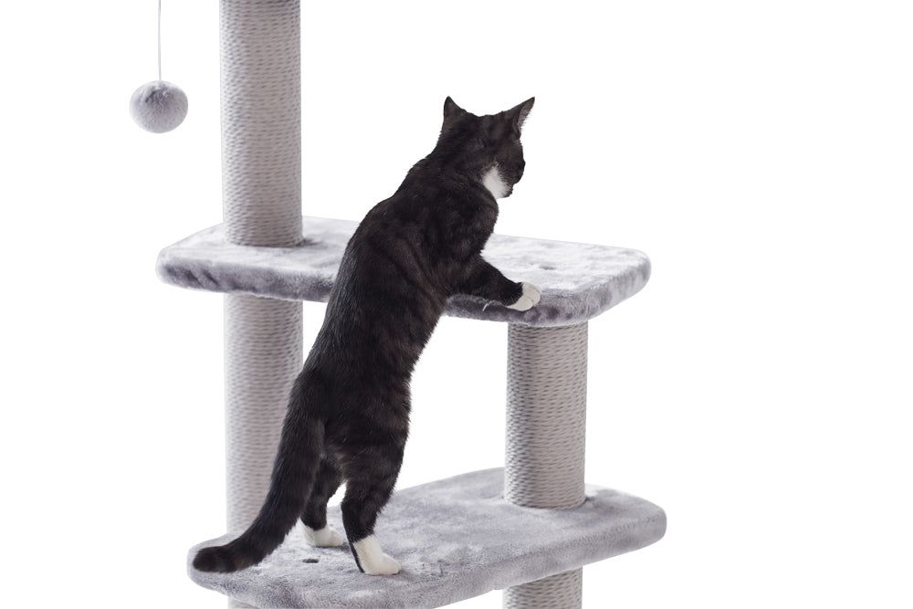 Schwarze und weiße Katze auf grauem Kratzbaum Classic ZERA mit mehreren Plattformen und hängender Spielkugel.