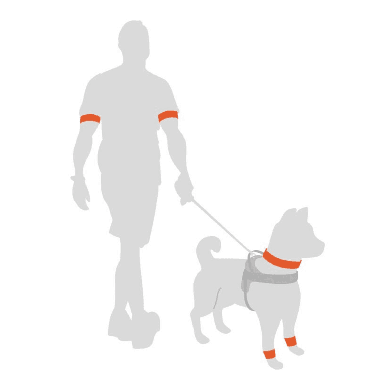 Mensch führt Hund an der Leine, beide tragen orangefarbene Accessoires auf weißem Hintergrund.