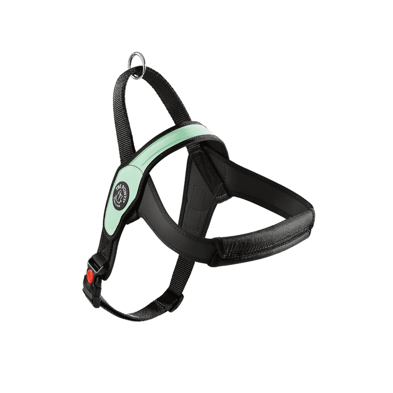 Ergonomisches Hundegeschirr in Schwarz mit grünen Akzenten, gepolstert, mit Schnellverschluss und Leinenhalterung.