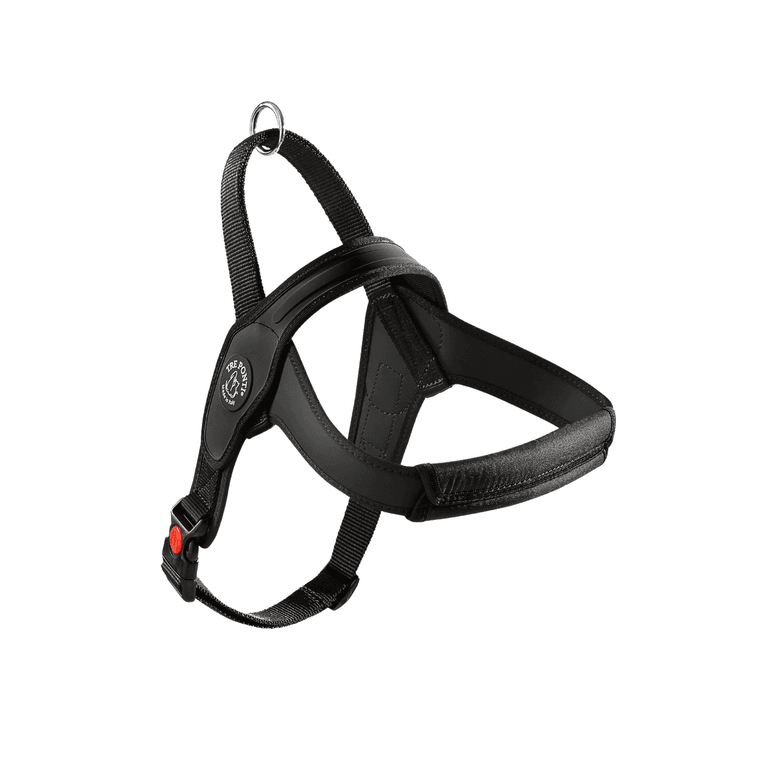 Schwarzes Hundegeschirr aus robustem Nylon mit gepolsterten Bereichen und verstellbarem Design für optimalen Komfort.