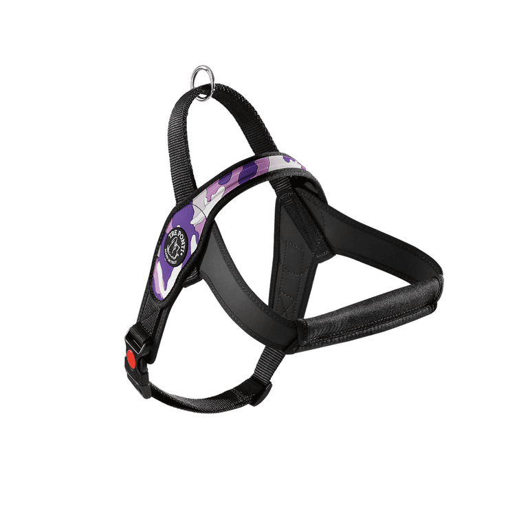 Hundegeschirr in lila und Schwarz, gepolstert und verstellbar, ideal für komfortable Spaziergänge mit Ihrem Hund.
