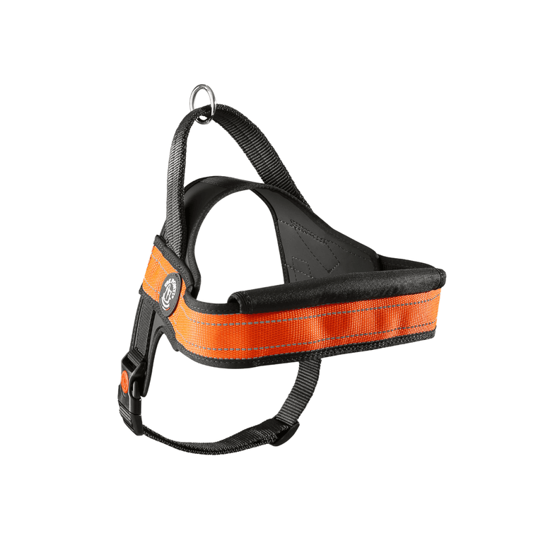 Orange-schwarzes Hundegeschirr mit gepolsterter Brustpartie, verstellbaren Riemen und Haltegriff. Ideal für Spaziergänge.