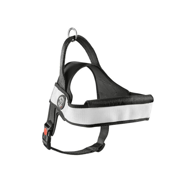 Schwarzes und silbernes Hundegeschirr Primo Plus mit gepolsterter Vorderseite und verstellbarem Design für optimalen Komfort.
