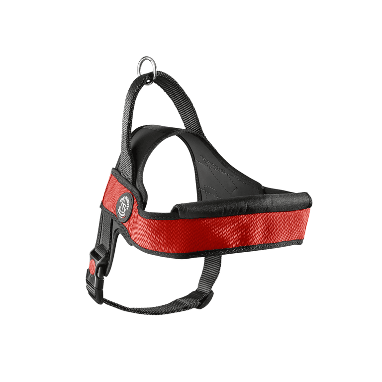 Ergonomisches Hundegeschirr in Rot und Schwarz mit gepolsterten Gurten und D-Ring für die Leinenbefestigung.