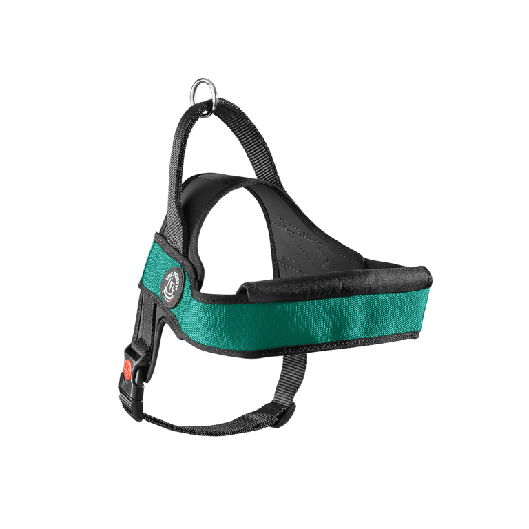 Ergonomisches Hundegeschirr in Schwarz und Grün mit gepolsterter Vorderseite und D-Ring zur Leinenbefestigung.